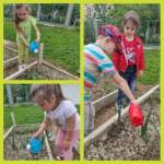 fb img 1654672008419 d90c4a59