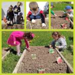 fb img 1654672030405 03cc9f49