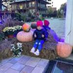fb img 1698401593912