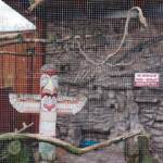 fb img 1699042765507