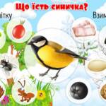fb img 1699897303165