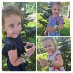 fb img 1720845652680