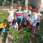 fb img 1725727036416