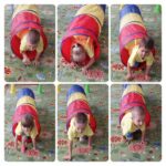 fb img 1726216213246