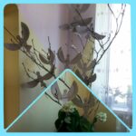 fb img 1726727950325