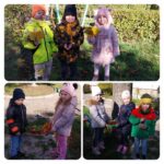 fb img 1729317831810